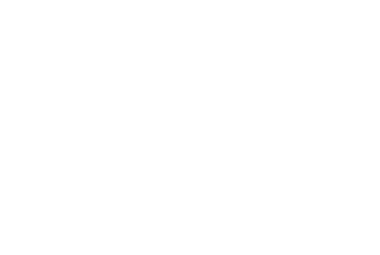 I Asset Management